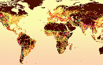 Solutions to urban heat differ between tropical and drier climes