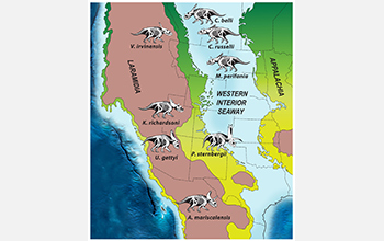 Dinosaur distribution on the continent.