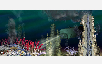 Illustration showing an undersea submersible illuminating a deep-sea hydrothermal vent community.