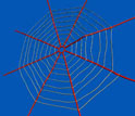 Screenshot of a spider web subjected to mechanical forces.