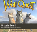 Screen capture of three wolf avators. Text: WolfQuest,Grizzly Bear!,New in Amethyst Mountain Deluxe