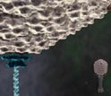 An animation showing bacteriophage T4 packaging DNA into its "head".