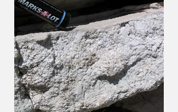 Photo of gypsum crystals embedded in calcite in a volcanic ash bed in Scotts Bluff.