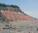 Photo of rocks in a mountenous ancient extinction research site in Nova Scotia.
