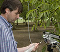 NCAR researcher Alex Guenther studies a chemical form of aspirin produced by walnut trees.