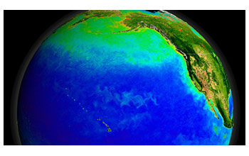 The Pacific Ocean’s currents support a diverse ecosystem, seen here from space, with green indicating blooms of photosynthesizing plankton