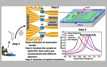 the graphene electronic multiplexed sensor (GEMS) platform