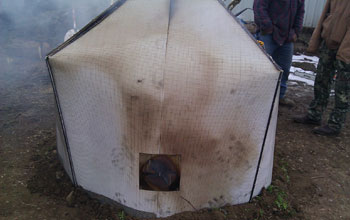 A tent-like kiln over woody waste material