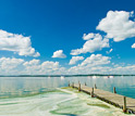 Photo of algae collecting along a pier on the south shoreline of Lake Mendota.