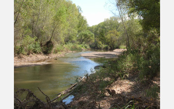 Photo  of San Pedro River in Arizona where researchers will conduct studies of river flow.