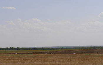 Photo of plain field in Kansas