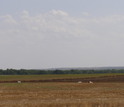 Photo of plain field in Kansas