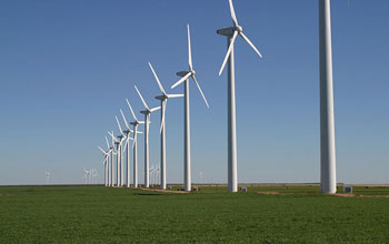Photo of a Texas wind ranch.