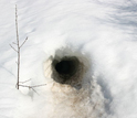 Photo of a wolverine burrow in the snow.