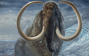 An adult male woolly mammoth navigates a mountain pass in Arctic Alaska, 17,100 years ago.