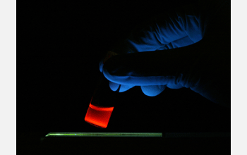 Luminescent porous silicon nanoparticles in a vial