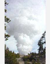 Photo of a geyser in Yellowstone National Park.