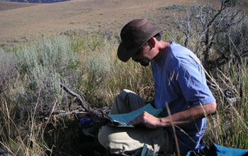 Photo of biologist Josh Miller studying bone survey data sheets along Yellowstone's Northern Range.