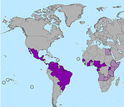 world map showing the spread of Zika virus
