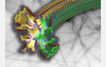 The zipper structure of the amyloid fibril formed by the yeast protein.