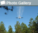 image of an airplane flying over a forest