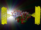 the A-form of DNA between two electrodes