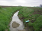 agricultural stream