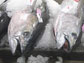 Ahi tuna heads on display at the market