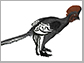 Anchiornis huxleyi illustration