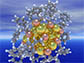 structure of a ligand-protected Au25 nanocluster