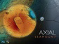 Axial Seamount, located on the Juan de Fuca Ridge in the Northeast Pacific Ocean
