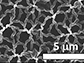 microstructure of boron-doped Q-carbon