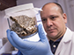 Giovani Bellicanta examines one of several containers of bedbugs