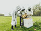 Beekeeper Tech Team, inspect a hive