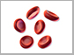 red blood cells