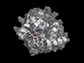 boron-carbon bonds