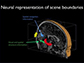 neural representation of scene boundaries