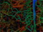 oxygen saturation of hemoglobin