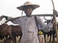 pastoralists in Cameroon