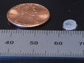 implant with penny for scale