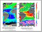 map of marine dissolved organic carbon