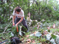 Cathy Hulshoff takes measurements on a tree