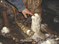 small stalagmite in the Mawmluh cave