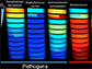 each band represents a 1mm section in bronchiole-like tubes