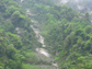 a mountainside in China's Wolong Nature Reserve