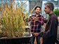 Imtiyaz Khanday and Professor Venkatesan Sundaresan with cloned rice plants