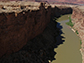 a late-afternoon view of the Colorado River in Marble Canyon