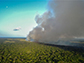 Congo forest fires
