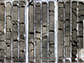 these bars are sections of sediment from one of the cores