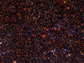 a crowded star field